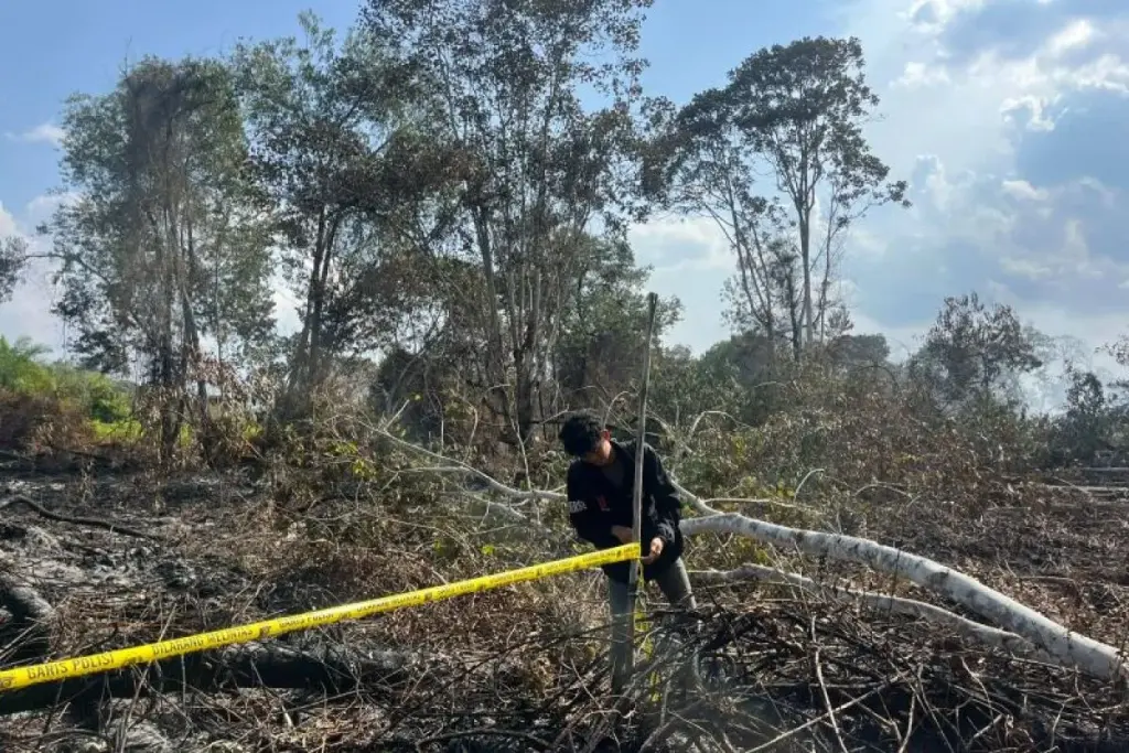 Polisi Tangkap Tersangka Pembakar Lahan di Kawasan Hutan Kerumutan