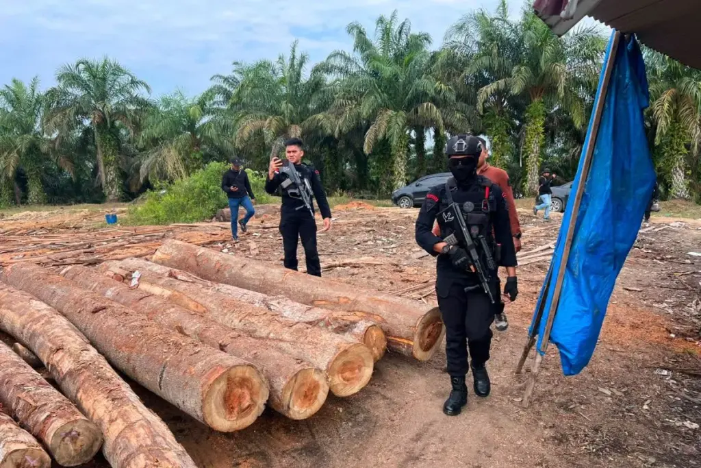 Polda Riau Telusuri Aliran Dana Perdagangan Kayu Ilegal di Kampar dengan Instrumen TPPU