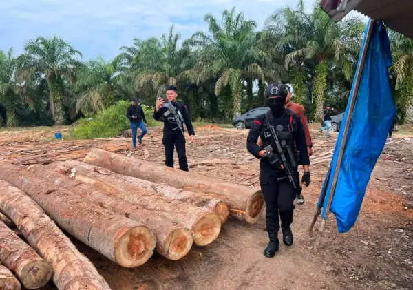 Polda Riau Telusuri Aliran Dana Perdagangan Kayu Ilegal di Kampar dengan Instrumen TPPU
