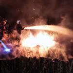 Berlangsung Selama Tiga Jam, Kebakaran Lahan Seluas 50 Ha di Natuna Berhasil Dipadamkan