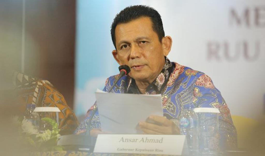 Realisasi APBD Kepri 2024 Capai 92,62%, Gubernur Ansar: Kinerja Keuangan Daerah Sangat Baik
