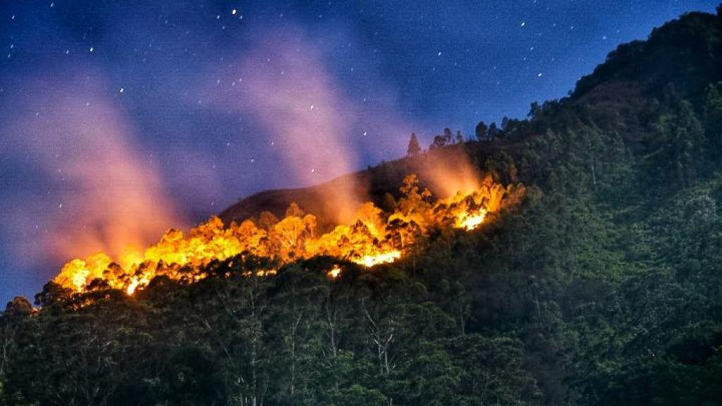 122 Hotspot Terdeteksi di Sumatera, Riau Sumbang 14 Titik