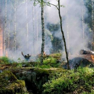 Sumatera Catat 44 Titik Panas, Riau dan Bangka Belitung Paling Menyala