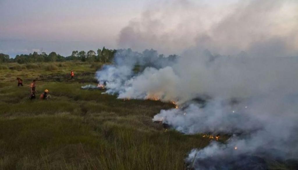 BMKG Catat 57 Hotspot di Sumatera Hari ini, Riau Terpantau 7 Titik Panas