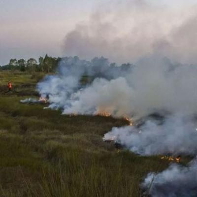 BMKG Catat 57 Hotspot di Sumatera Hari ini, Riau Terpantau 7 Titik Panas