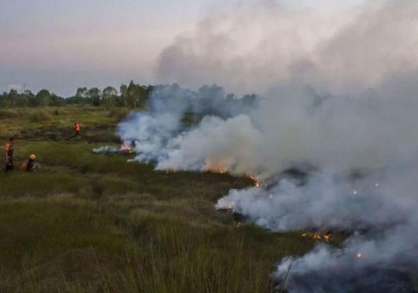Karhutla Mulai Meningkat, Manggala Agni Dikerahkan di Sejumlah Wilayah Sumatera