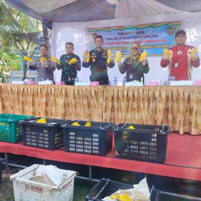 Karantina Riau Musnahkan 25,9 Ton Mangga Ilegal Asal Malaysia
