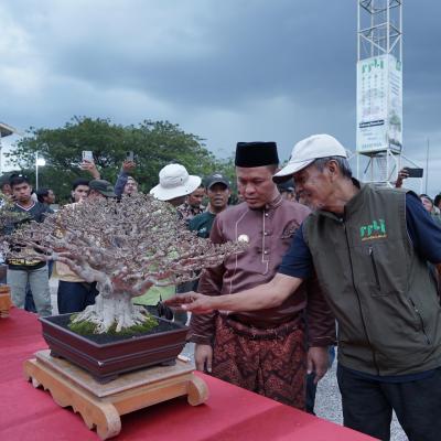 Melihat Pameran Bonsai di Pekanbaru, Ajang Kreativitas dalam Semangat Menjaga Kelestarian Lingkungan