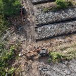 Polda Riau Selidiki Dugaan Perusakan 100 Hektare Hutan Mangrove di Rohil