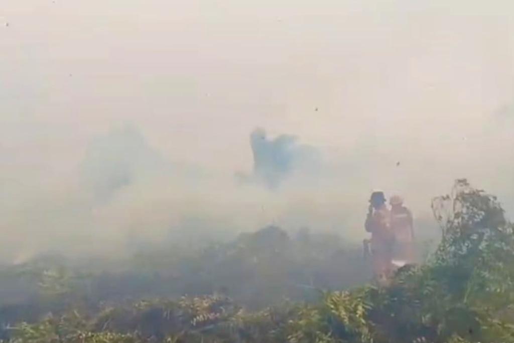 Karhutla Meluas di Bengkalis dan Rohil, Manggala Agni Kerahkan Tiga Regu Pemadam