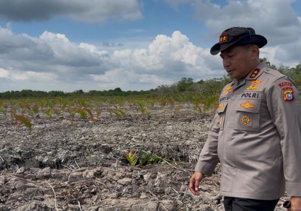 Kapolda Riau Tinjau Perambahan 118 Hektare Kawasan Mangrove di Rohil, Dua Tersangka Ditetapkan