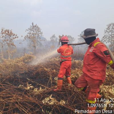 Karhutla Bengkalis: Pematang Pudu Mulai Kondusif, Buluh Apo Masih Belum Terkendali