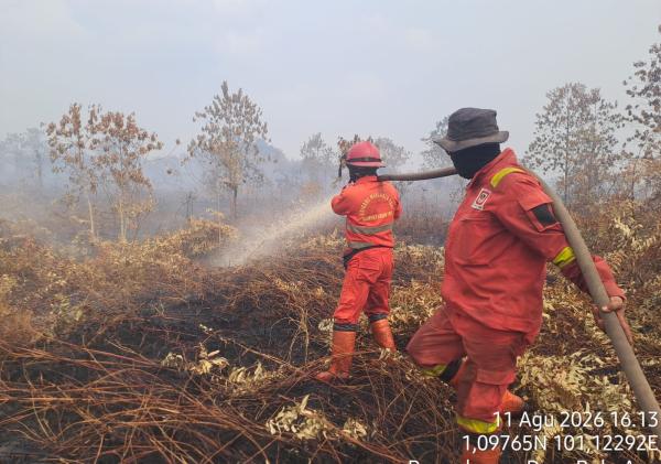 Karhutla Bengkalis: Pematang Pudu Mulai Kondusif, Buluh Apo Masih Belum Terkendali