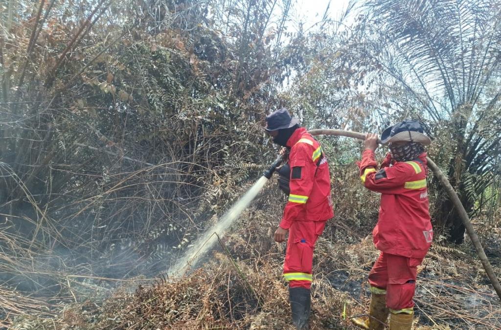 Manggala Agni Masih Berjibaku Padamkan Karhutla di Empat Kabupaten di Riau