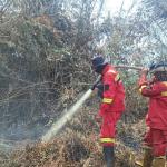 Manggala Agni Masih Berjibaku Padamkan Karhutla di Empat Kabupaten di Riau