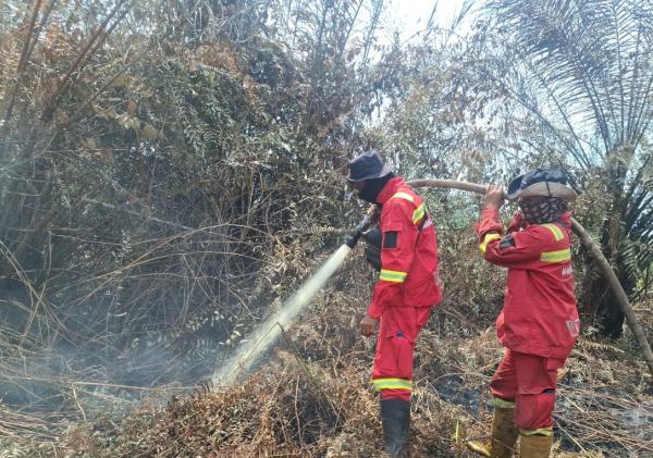 Manggala Agni Masih Berjibaku Padamkan Karhutla di Empat Kabupaten di Riau