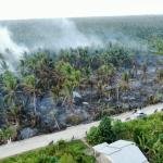 Lahan Gambut dan Perkebunan Kelapa di Inhil Terbakar, Tim Gabungan Berjibaku Padamkan Api