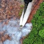 Karhutla Masih Membara, Satgas Udara Water Bombing Dua Desa di Inhu