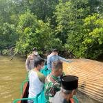 Paus Terdampar di Inhil Masih Misterius, KKP Kirim Sampel ke BRIN