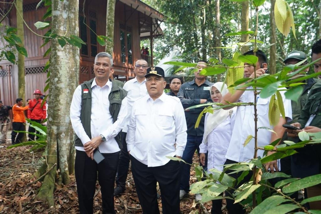 Restorasi Gambut Tanjung Leban Jadi Model, SF Hariyanto Dorong Replikasi di Riau