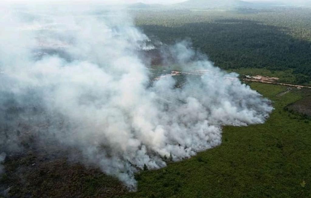 60 Titik Panas di Sumatera Hari ini, Sumatera Barat Paling Parah