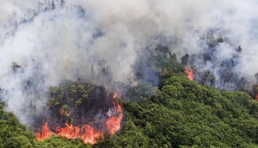 12 Titik Panas Menyala di Riau Hari ini, Pelalawan Paling Banyak