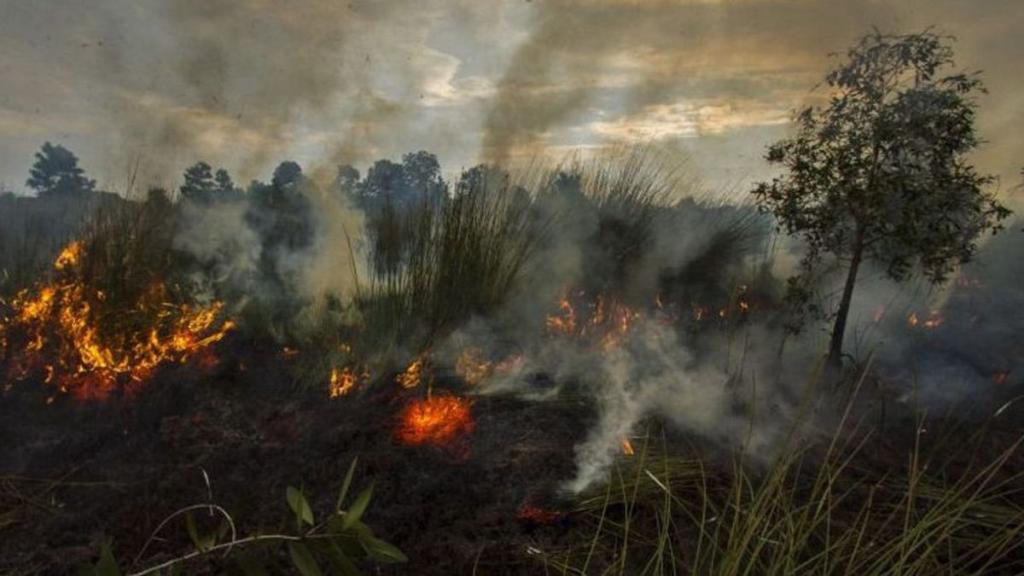 12 Titik Panas Terdeteksi di Sumatera, Riau Dominasi 10 Hotspot