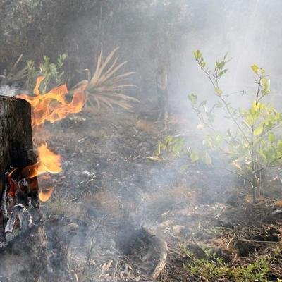 Hotspot Sumatera Ada 32 Titik Termasuk di Bengkalis