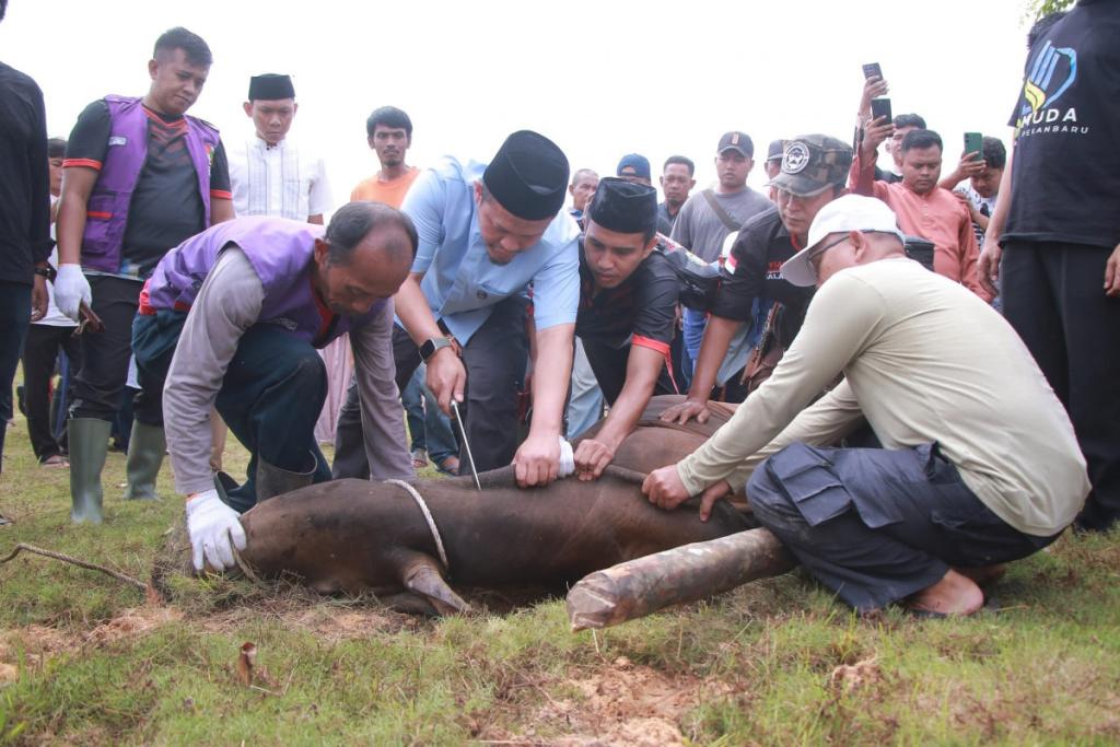 Pemko Pekanbaru Sembelih 14 Hewan Kurban, 5 Ekor Disalurkan ke Lembaga Eksternal dan Masjid