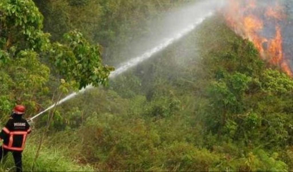 BMKG Catat 6 Titik Panas di Sumatera, Satu Berada di Dumai