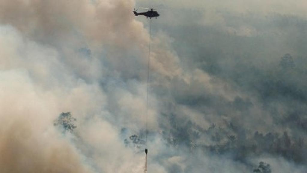 3 Titik Panas Menyala di Riau Pagi ini, Tersebar di Kota Dumai dan Siak