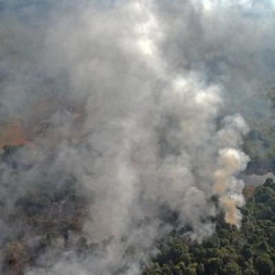 67 Hotspot Terdeteksi di Sumatera Hari ini, Riau Sumbang 3 Titik Panas