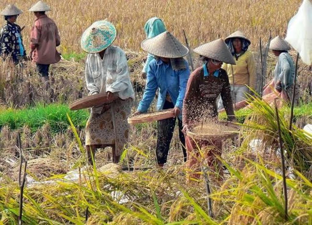NTP Riau Naik 3,11 Persen di Desember 2024, Tertinggi di Sumatera