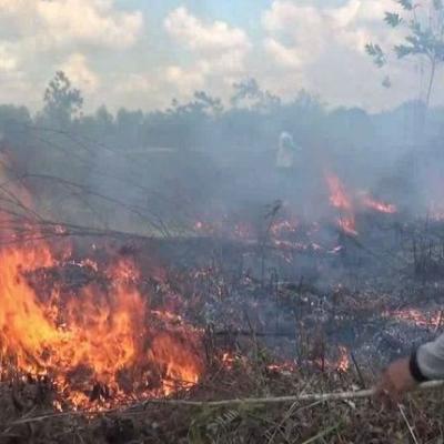 BMKG Catat 11 Hotspot di Sumatera, Riau Paling Banyak dengan 7 Titik Panas