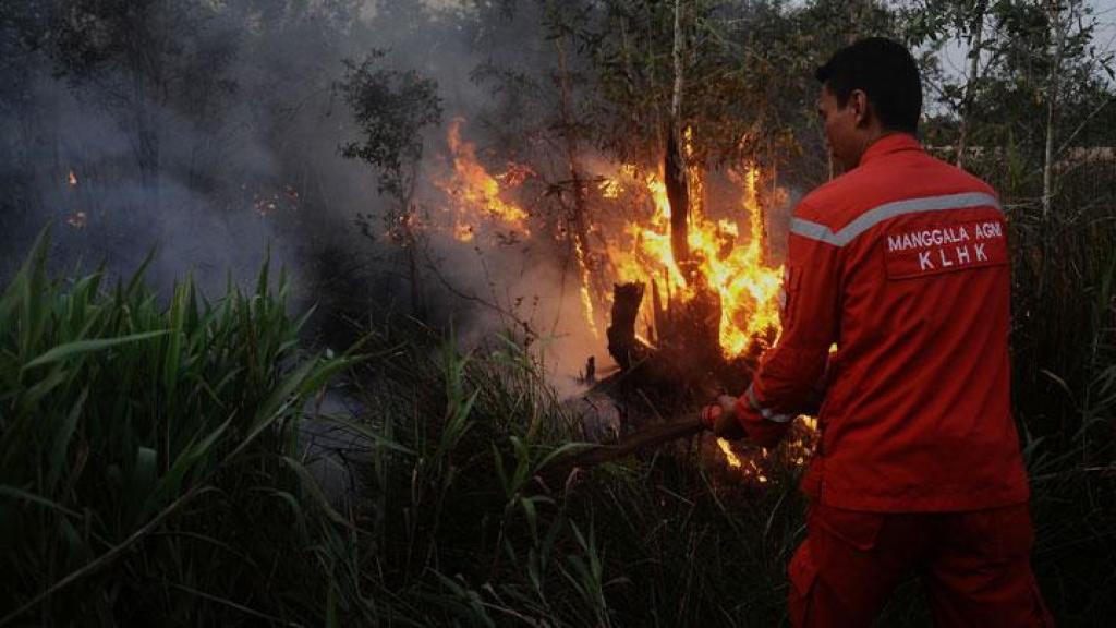 BMKG Catat 54 Titik Panas di Sumatera, Riau Sumbang 2 Hotspot