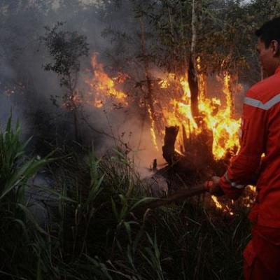 BMKG Catat 54 Titik Panas di Sumatera, Riau Sumbang 2 Hotspot