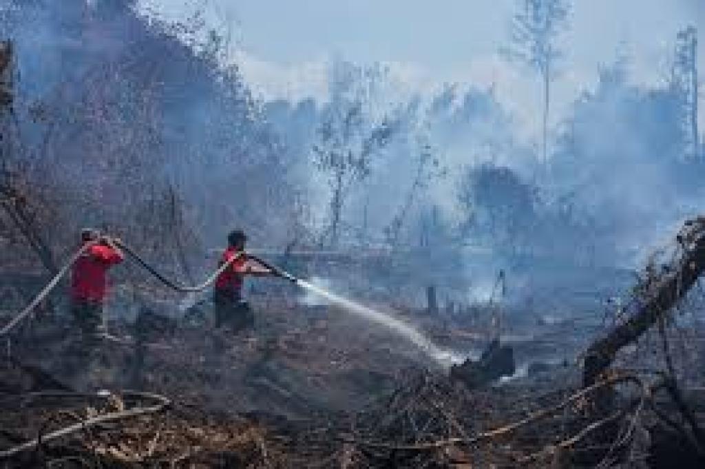 BMKG Catat 4 Titik Panas di Sumatera Pagi ini, Dumai Masuk Daftar