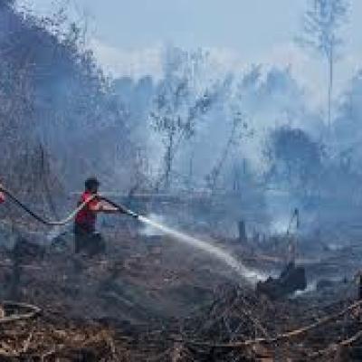 BMKG Catat 4 Titik Panas di Sumatera Pagi ini, Dumai Masuk Daftar