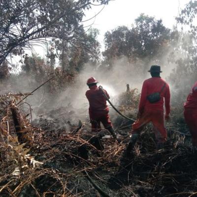 Meski Tak Ada Karhutla Hari Ini, Riau Waspadai Ancaman Musim Kemarau