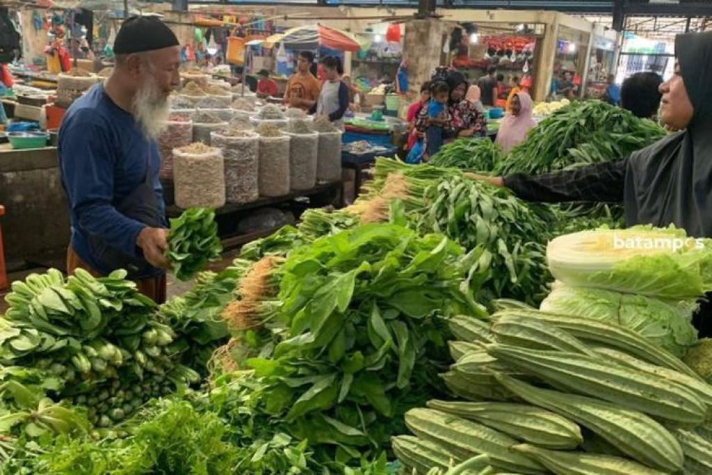 Harga Cabai dan Sayuran Turun Pasca-Lebaran 2025 di Tanjungpinang