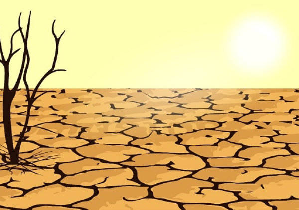 BMKG Ungkap Penyebab Kekeringan di Kepri, Warga Diimbau Waspadai Kebakaran Lahan