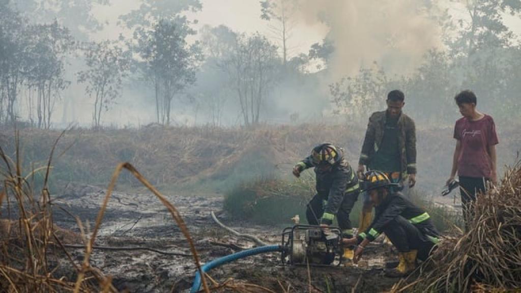 Nihil Hotspot di Riau, Sumatera Catat 4 Titik Panas Hari ini