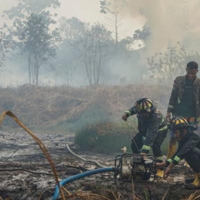 Dua Warga Jadi Tersangka Karhutla 4 Hektare di Bengkalis