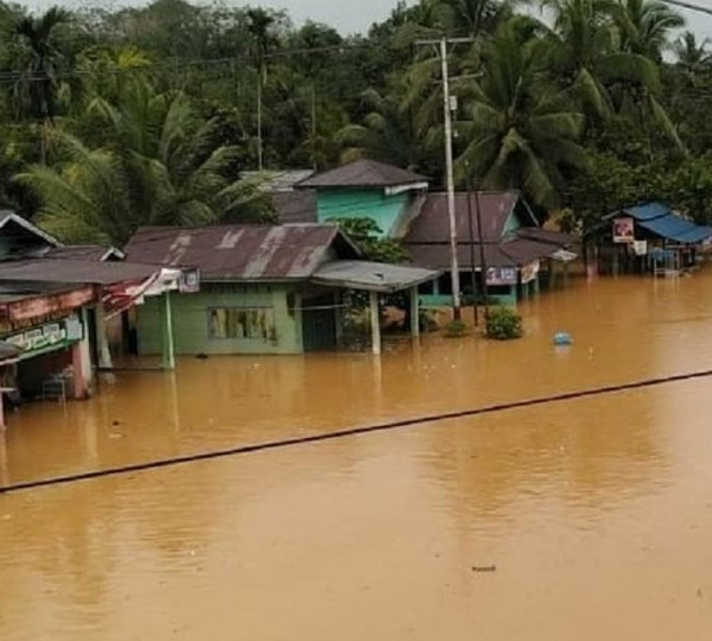 Banjir Riau Mulai Surut, Dampak Terparah di Pelalawan, Siak dan Rohul