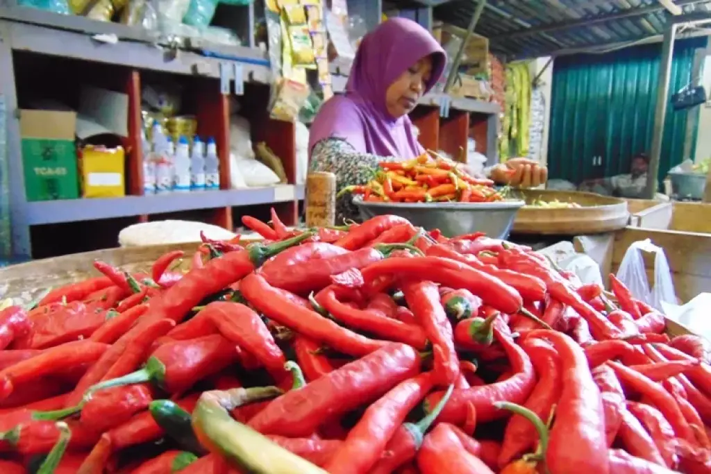 Harga Meroket Akibat Bencana Alam, Pemprov Riau Datangkan 1 Ton Cabai Merah dari Sleman