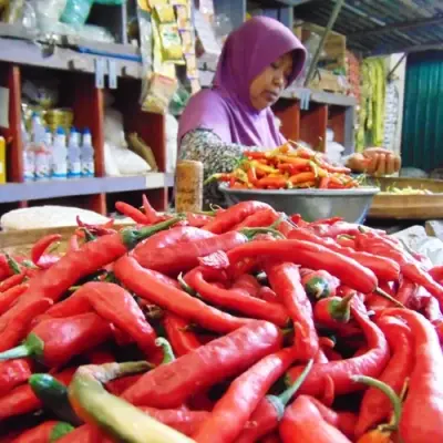 Harga Meroket Akibat Bencana Alam, Pemprov Riau Datangkan 1 Ton Cabai Merah dari Sleman