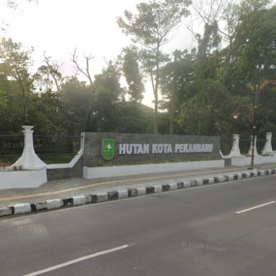Ada di Pekanbaru dan Kampar, Pemprov Riau Siapkan Lokasi Taman Kehati