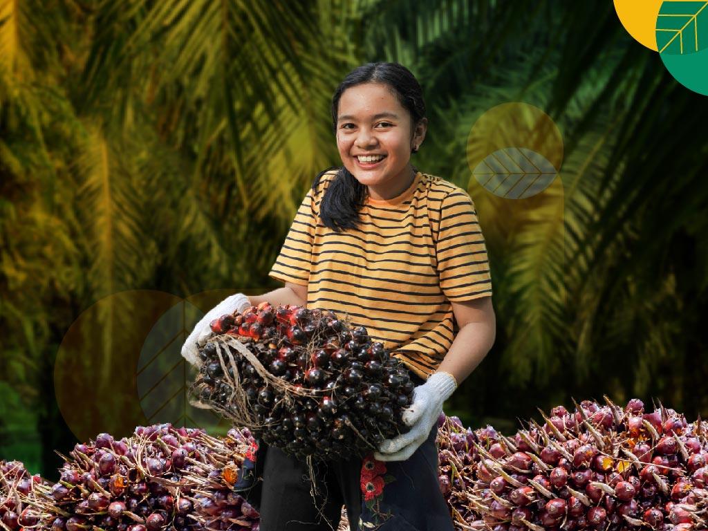 Harga TBS Sawit Mitra Swadaya di Riau Naik Jadi Rp3.620,96 per kilogram