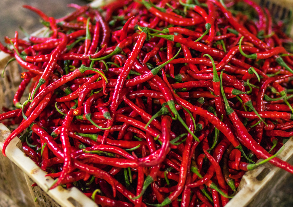 Harga Cabai Merah di Tanjungpinang Tembus Rp98 Ribu per Kilogram