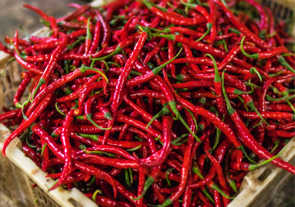 Harga Cabai Merah di Tanjungpinang Tembus Rp98 Ribu per Kilogram